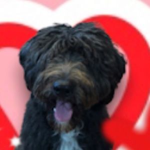 Meet your Posher, Mar